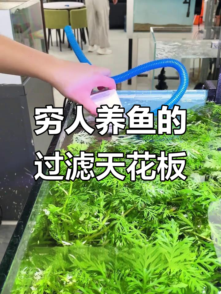 自制鱼缸过滤器，轻松打造空气缸效果