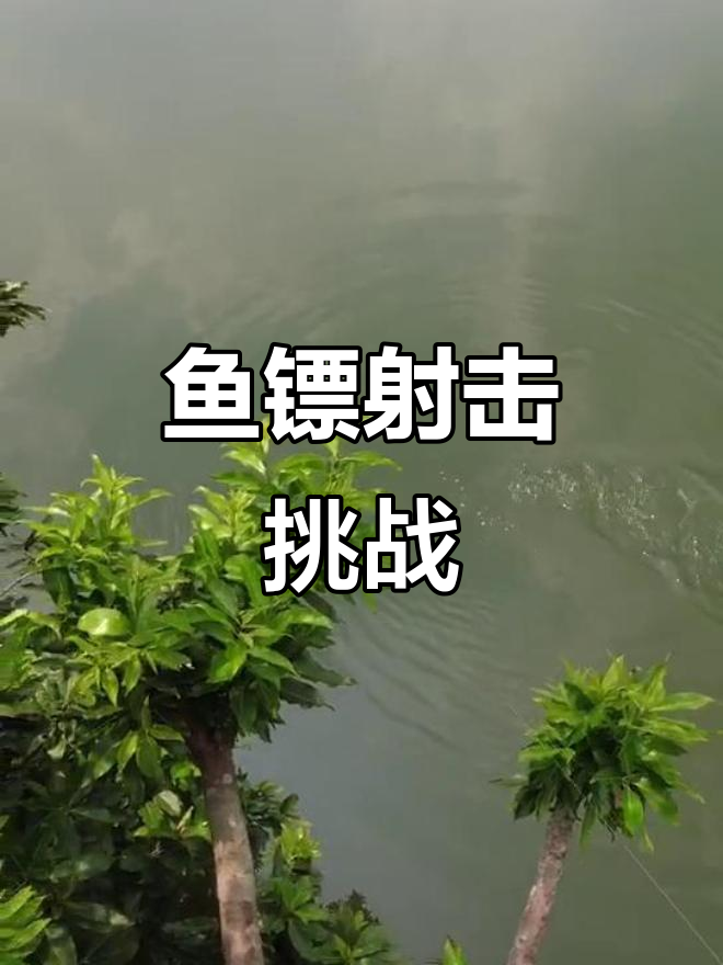 鱼镖射鱼的惊险瞬间,看如何精准捕捉猎物