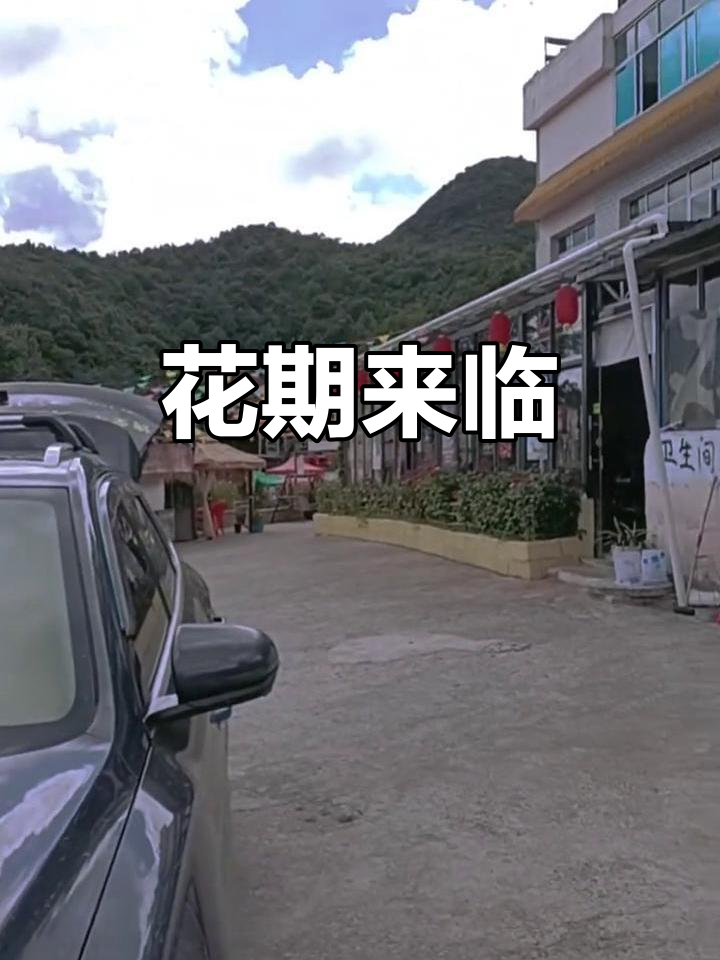 韭菜坪花开正盛,天气转凉,记得添衣