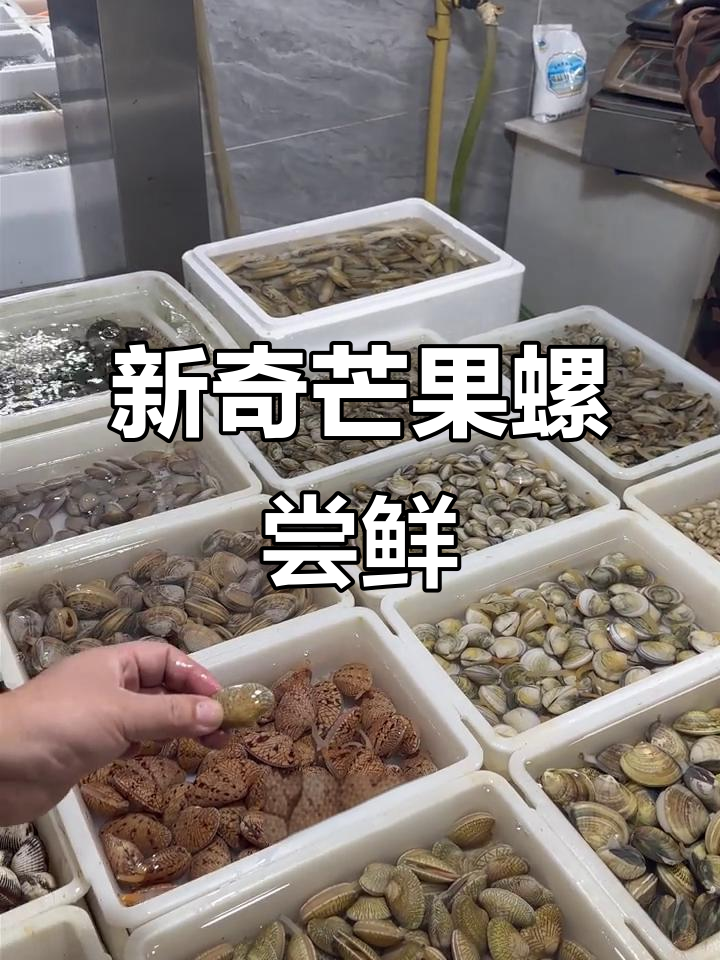 辣炒芒果螺,鲜美又实惠!过年必备美味