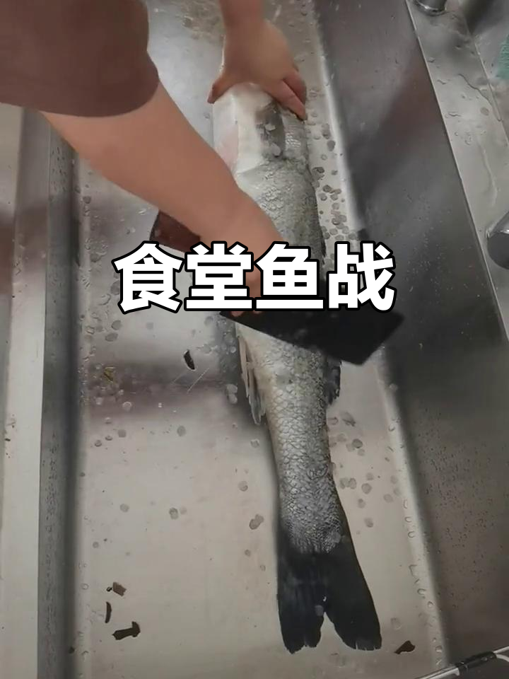 午餐鱼大战,两位老板差点动手!