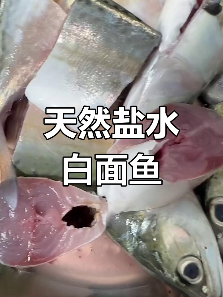 新鲜白面鱼,简单盐水煲做法