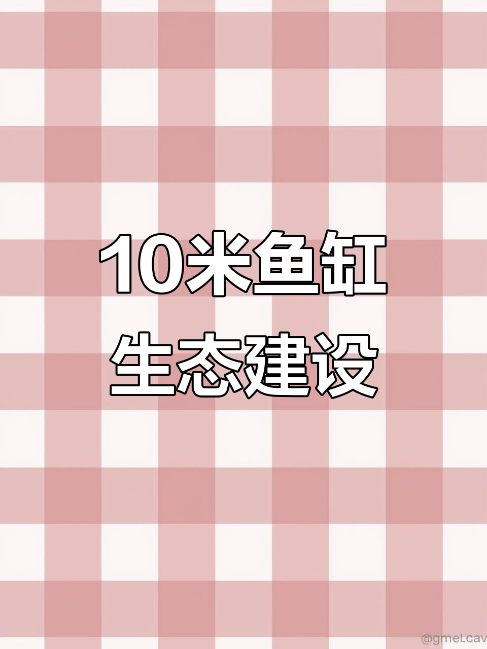 十米鱼缸生态打造,水草、浮萍与闯缸鱼的完美融合