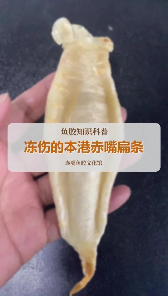 严重冻伤的赤嘴鱼胶