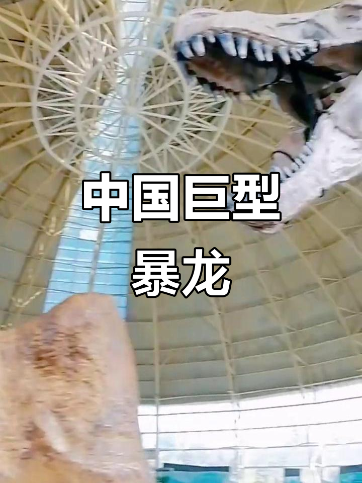 2010年发现:诸城暴龙,中国最大肉食恐龙超特暴龙与永川龙