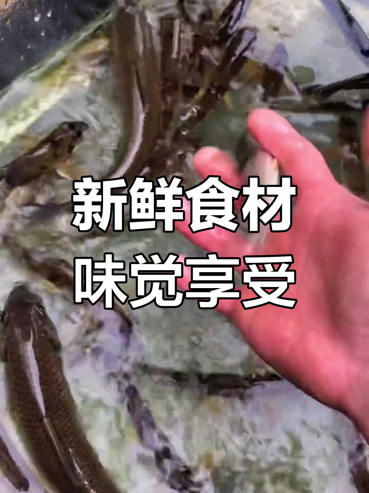 湖南醴陵的独特美味:蛇鮈鱼与船钉鱼的鲜香
