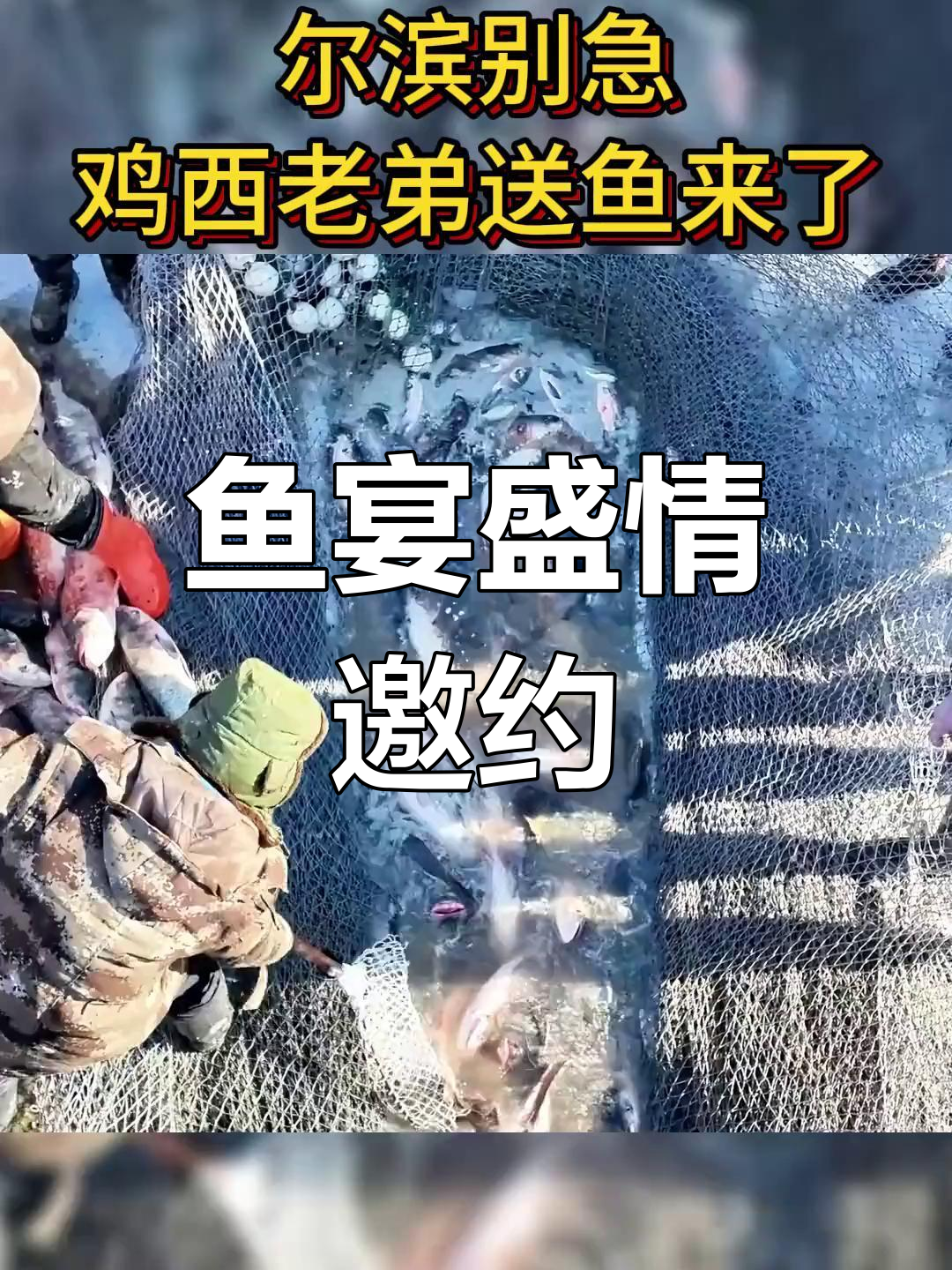 鸡西连夜捕捞,兴凯湖鱼直送哈尔滨,铁锅炖等你来尝!