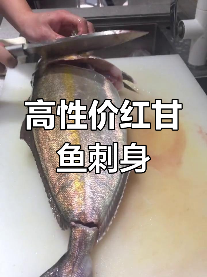 红甘鱼:高性价比的刺身选择,杀鱼技巧大揭秘