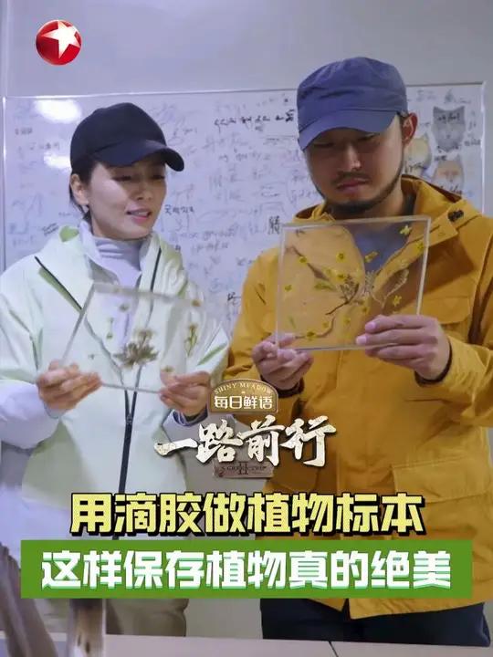 用滴胶做植物标本 这样保存植物真的绝美 山水自然保护中心嘉塘保护地负责人给 胡歌 介绍同事