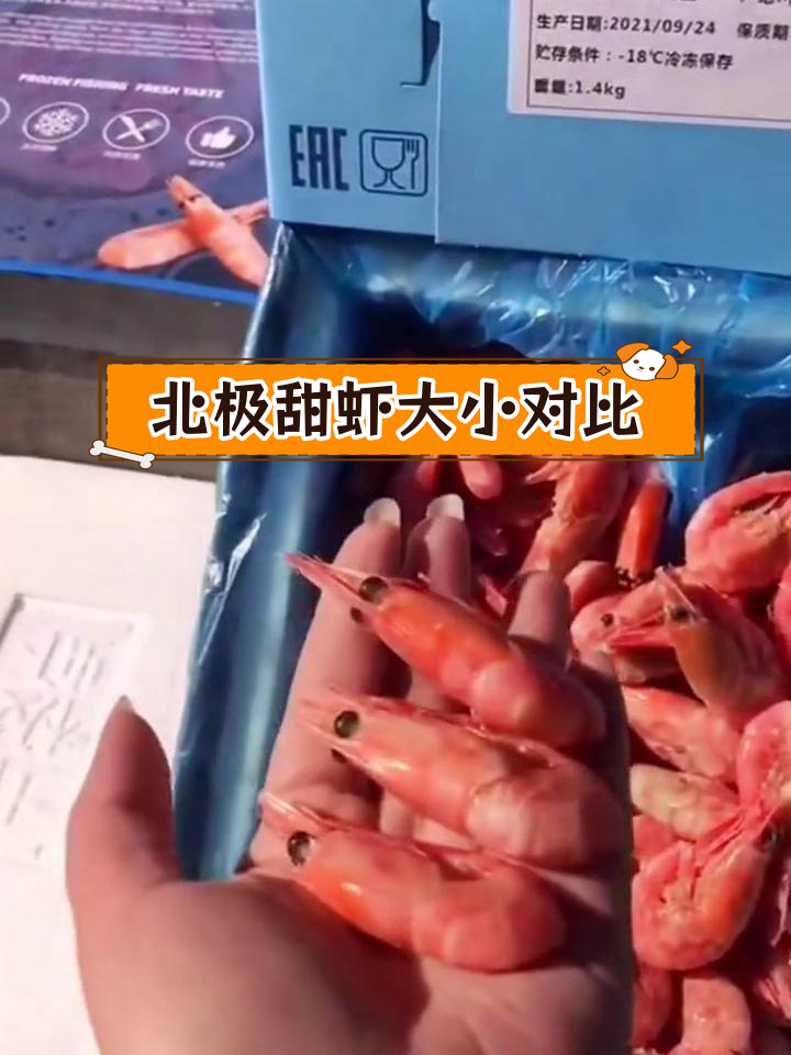 大虾型号如何区分?90/120与70/90的区别解析