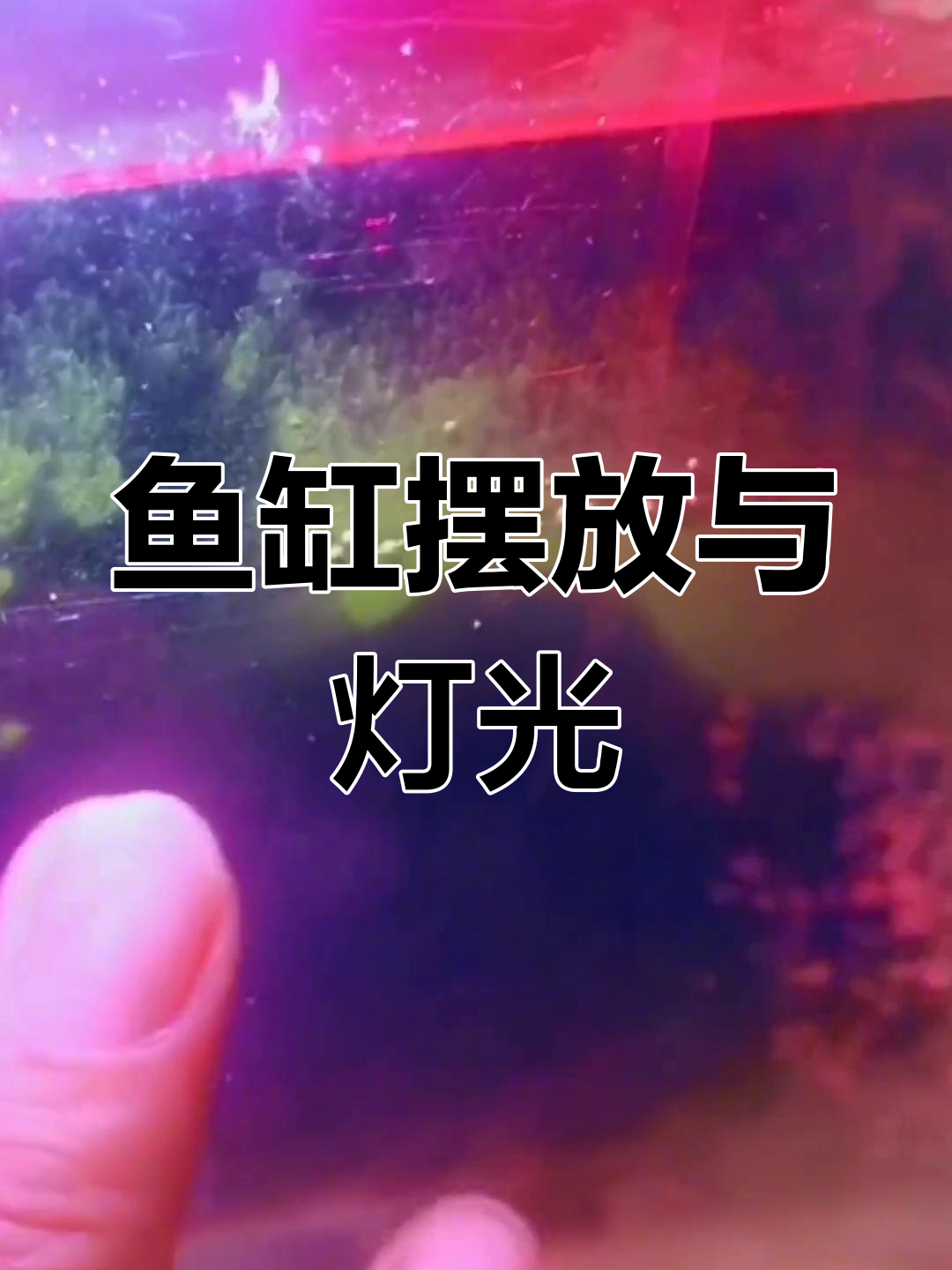鱼缸避免直射阳光,杀菌灯放置需远离主缸