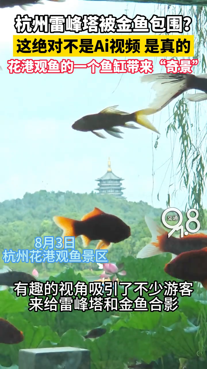 雷峰塔被金鱼包围 这不是Ai制作