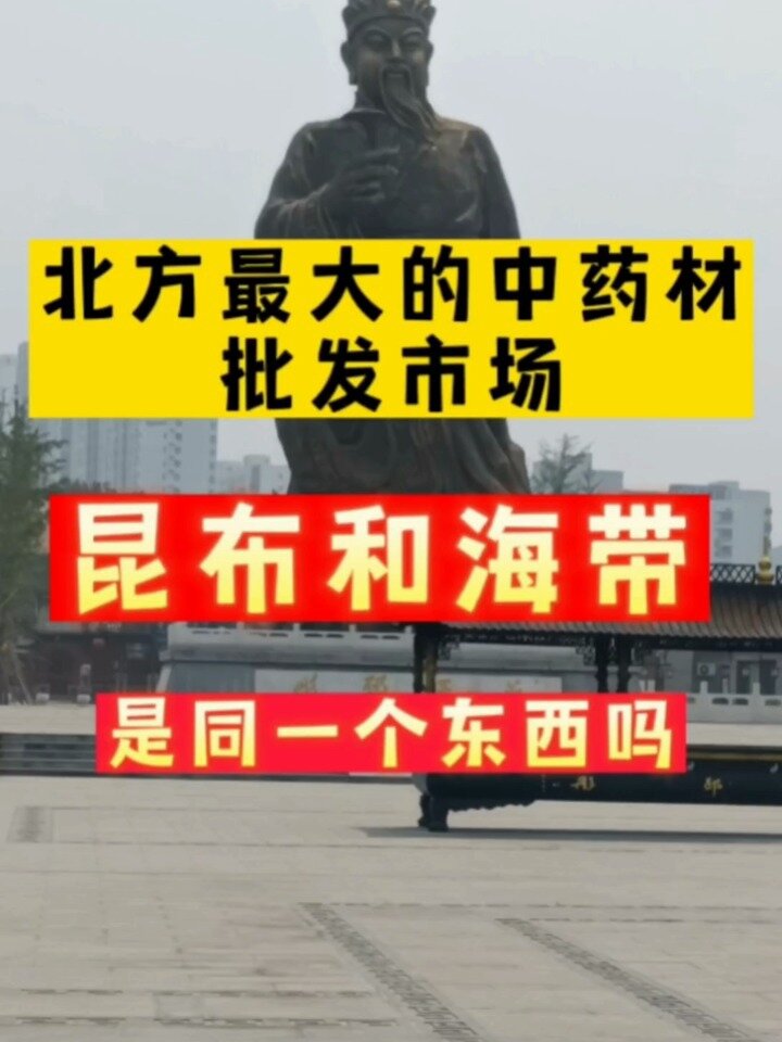昆布是海带吗?