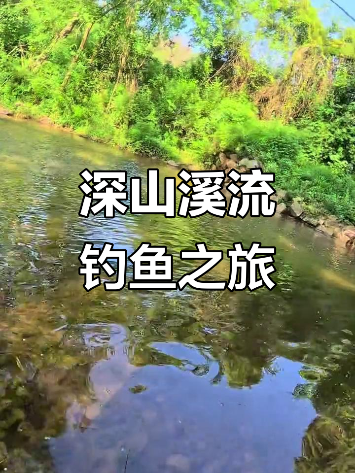 溪流钓大挑战,鲨鱼石斑接连上钩!