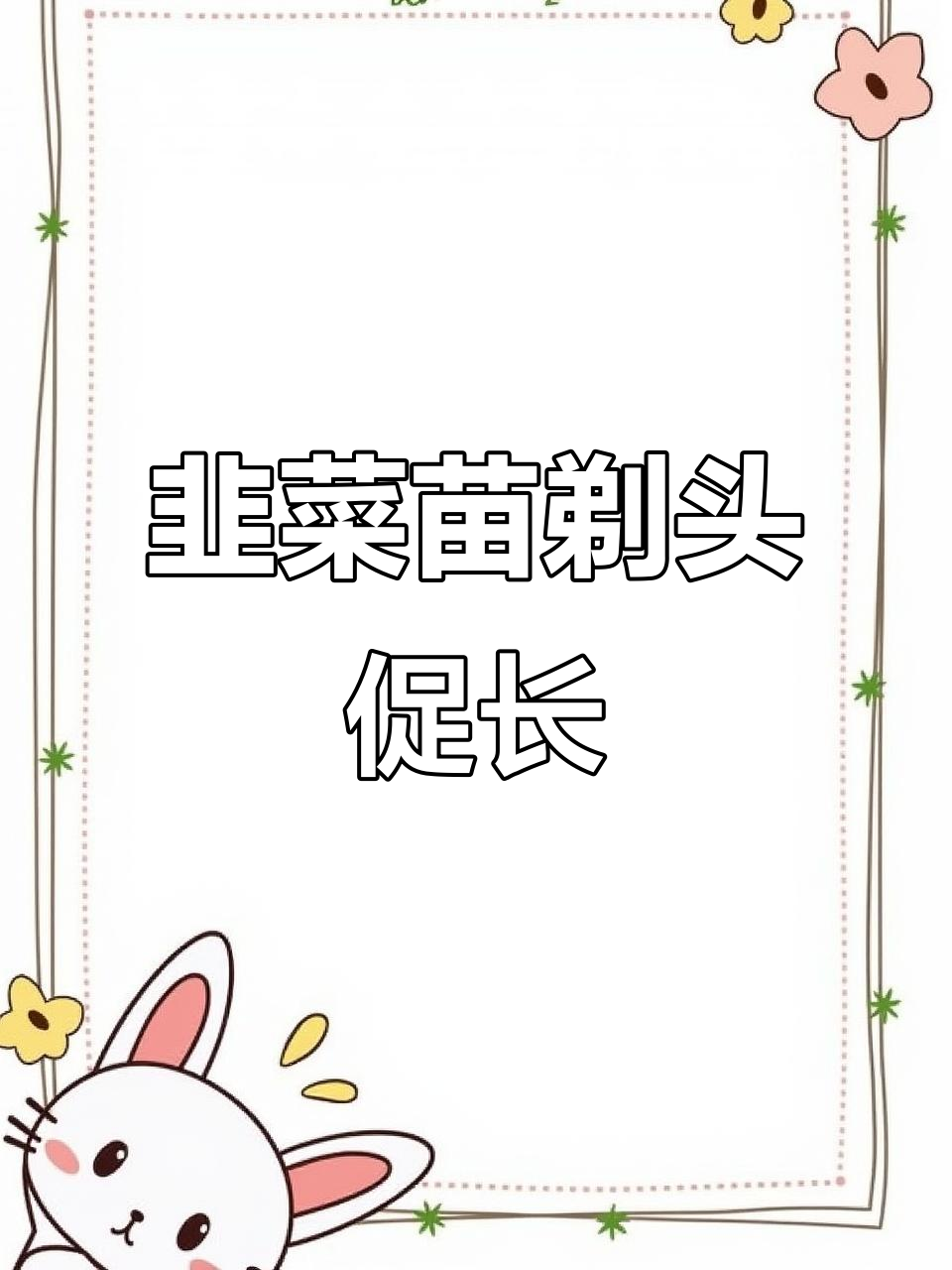 小韭菜剃头后长得更快,割掉一茬新芽冒出