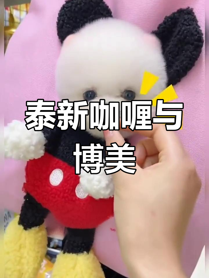 泰国、新加坡等地美食大揭秘,博美茶杯犬萌宠推荐