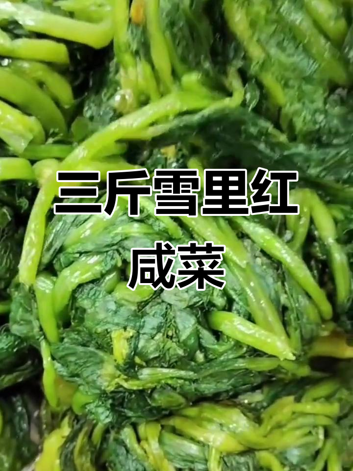 雪里红咸菜三斤装,真空包装超方便