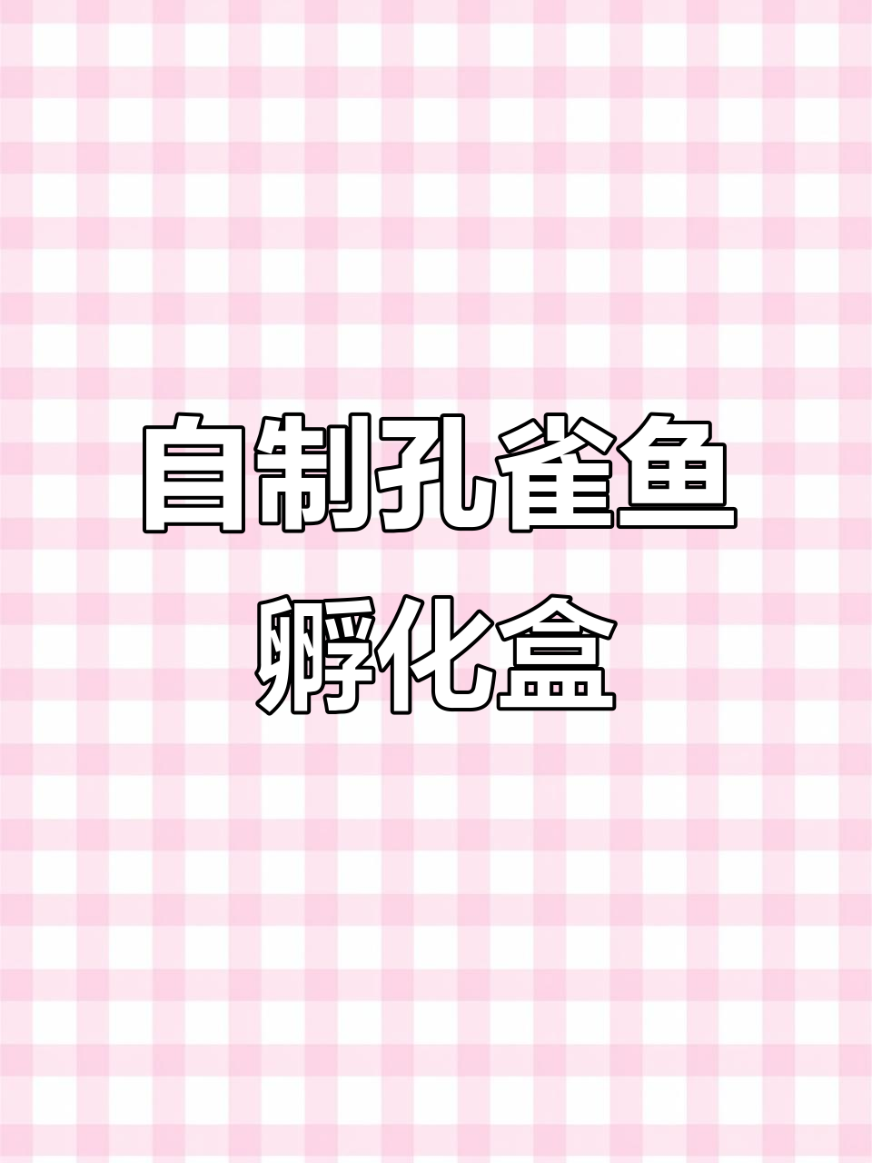 用外卖盒做孔雀鱼孵化器,简单又实用