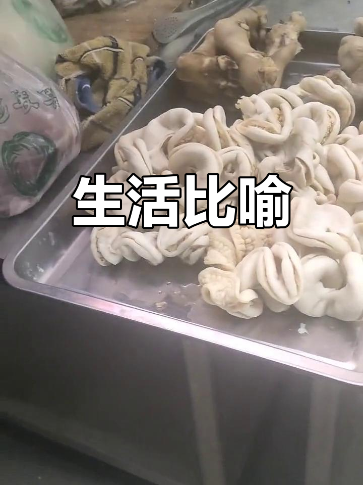 挨打是“笋子炒肉”,分合如“回头草”,穷困则是“西北风”