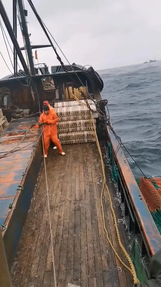 一斤鱼卖一块钱，干这行到底能不能发财？