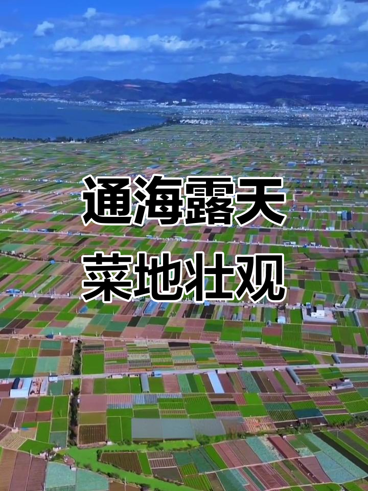 云南通海：中国最大露天蔬菜基地，四季常绿如调色盘