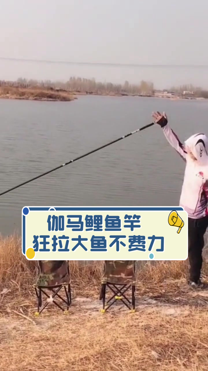 伽马鲤鱼竿,狂拉大鱼不费力