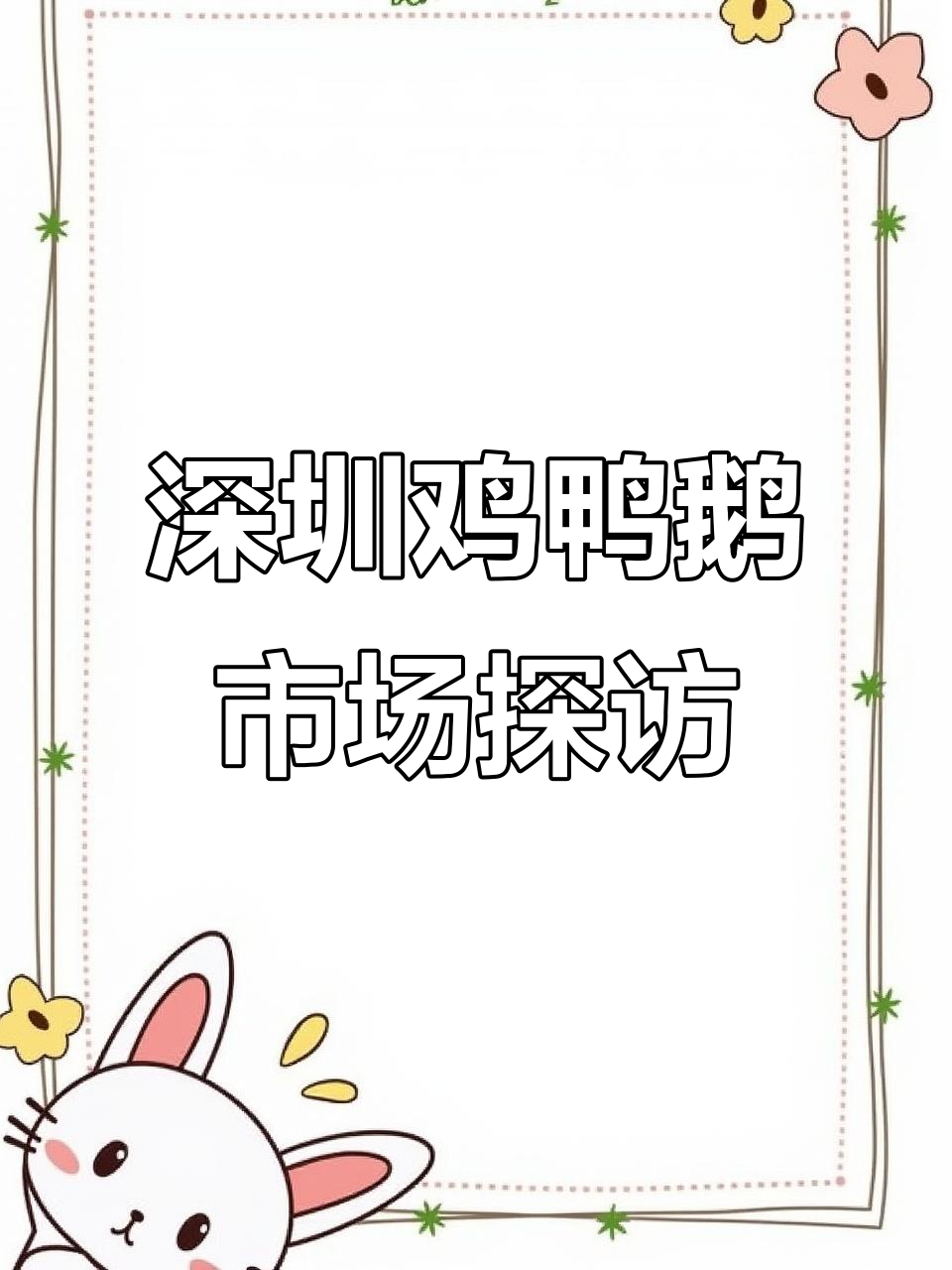 深圳鸡鸭鹅市场揭秘:老母鸡肉质鲜美,配送上门服务全覆盖