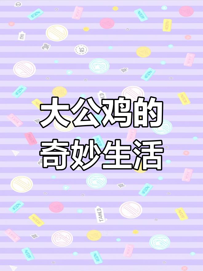 聪明大公鸡,家人般的陪伴