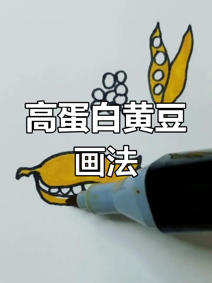 黄豆的营养价值与简笔画教程