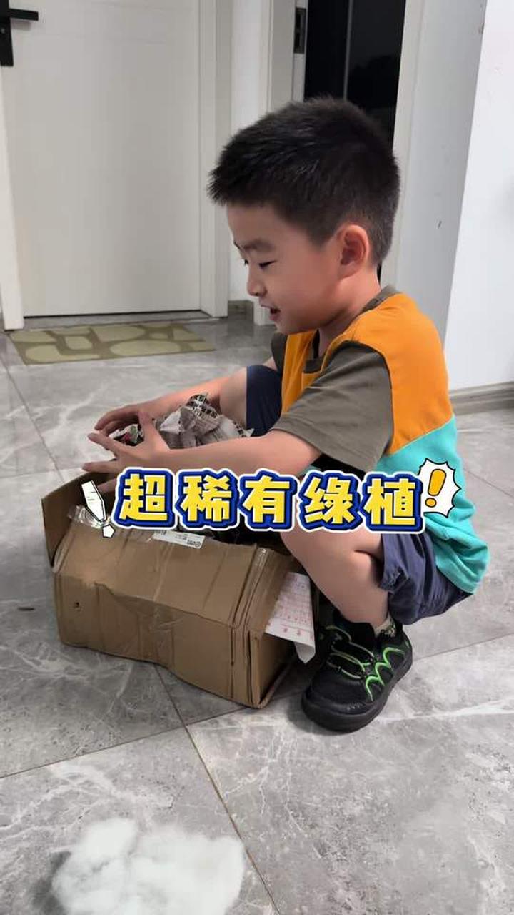 原来我们吃的香草冰淇淋是人工合成香草味