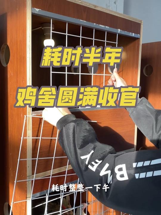 小鸡开始产蛋，闲置半年的箱子做成新鸡舍，鸡舍终于圆满了
