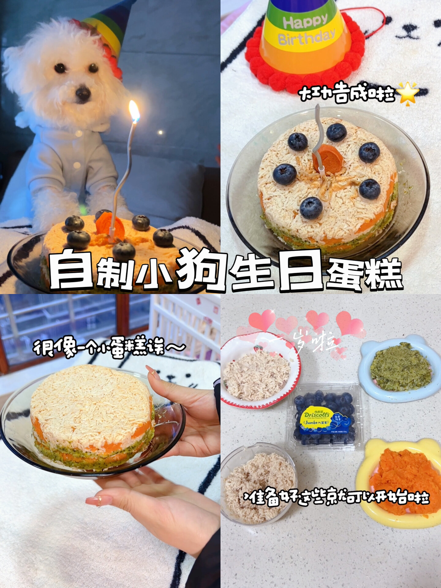 自制狗狗生日蛋糕|我的小乖生日快乐