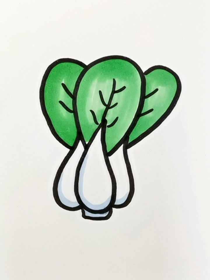 小白菜这样画简单又好看 简笔画 育儿简笔