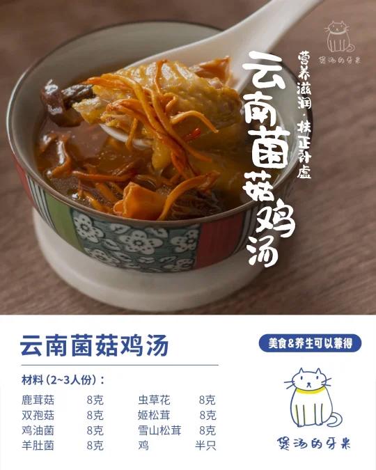 今日养生汤|云南菌菇鸡汤