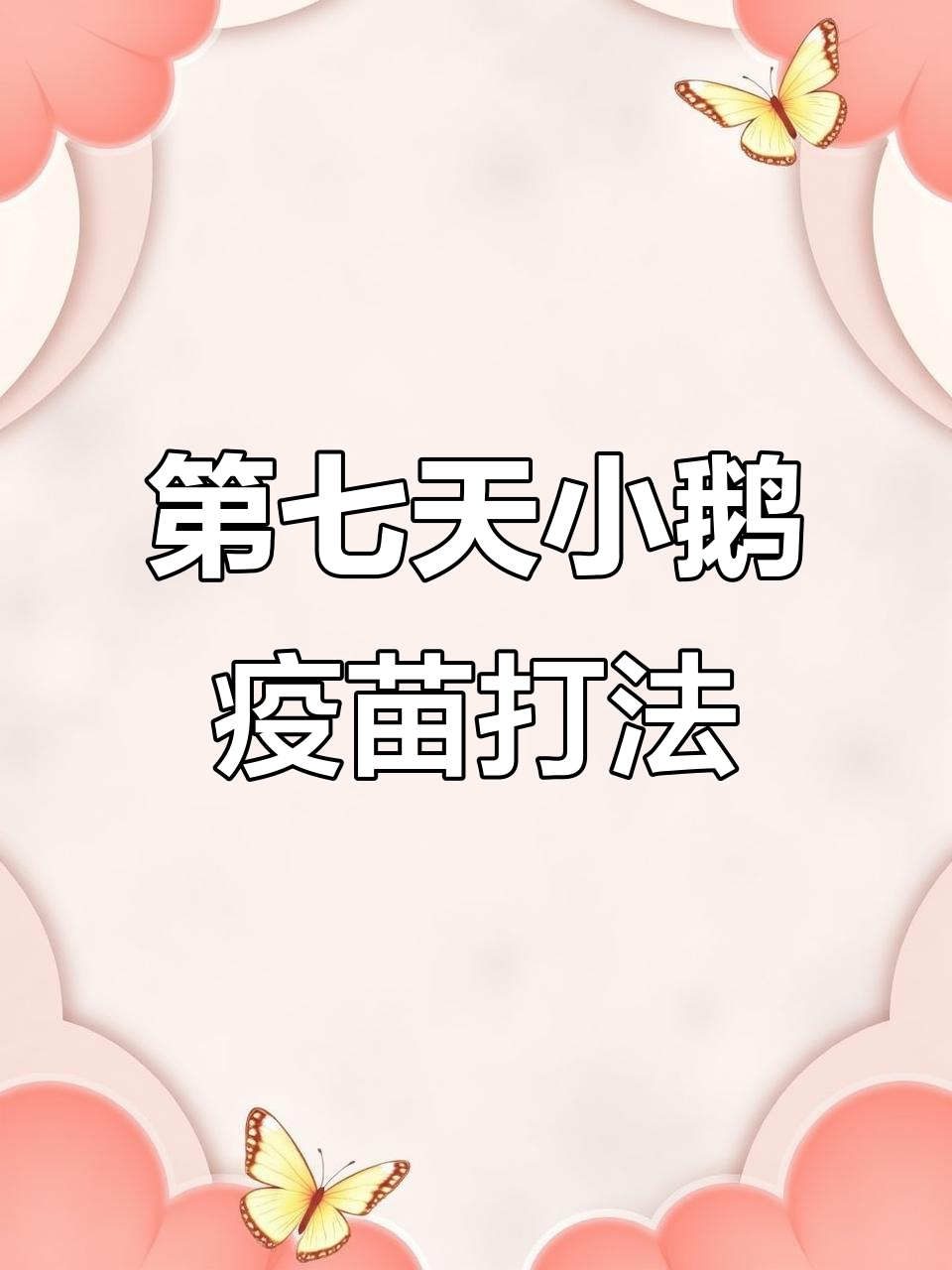 小鹅疫苗接种技巧,七天操作全解析