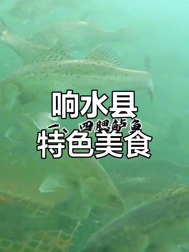 盐城响水县特产大揭秘:四腮鲈鱼、双岗粉丝等美食一网打尽