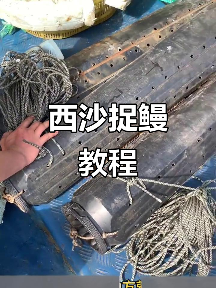西沙群岛鳗鱼捕捉技巧大揭秘,轻松抓捕野生鳗鱼