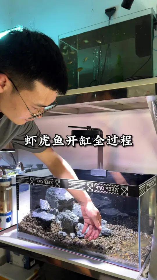 简单布景养点本土原生鱼“三峡吻虾虎”没想到这玩意要十几块一条 大自然的搬运工 养鱼日记 虾