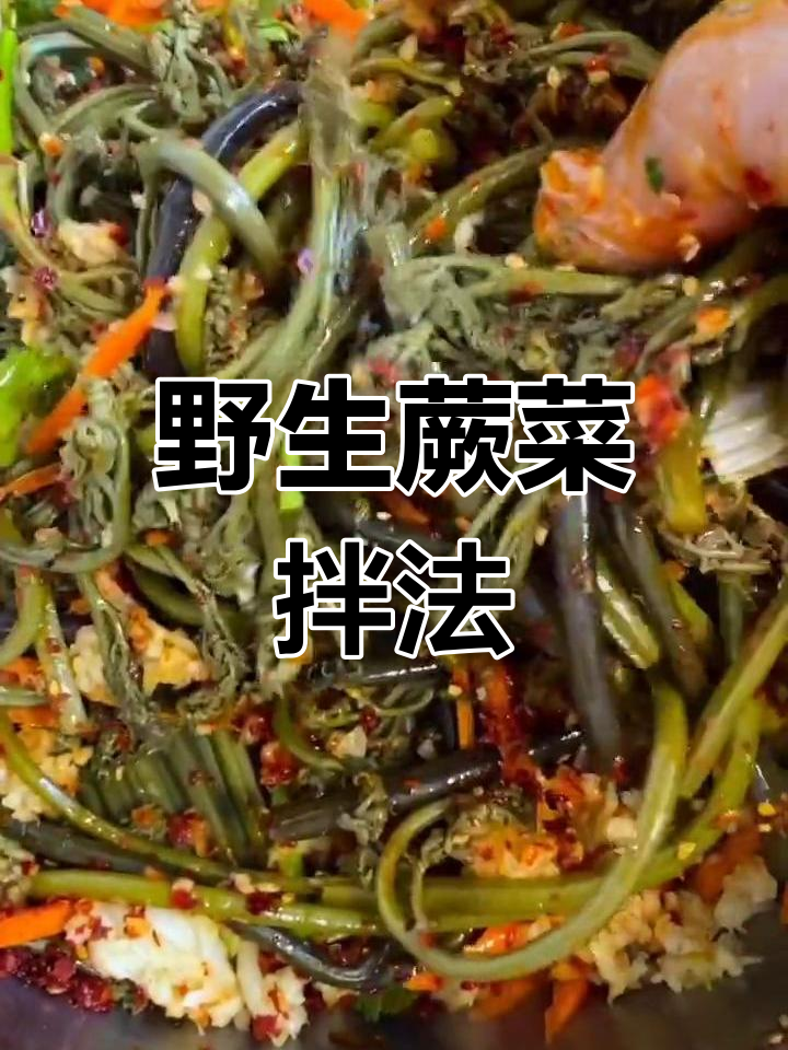 东北野生蕨菜拌法大揭秘,简单又美味!