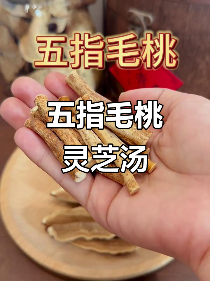 五指毛桃灵芝汤,告别小水珠的烦恼