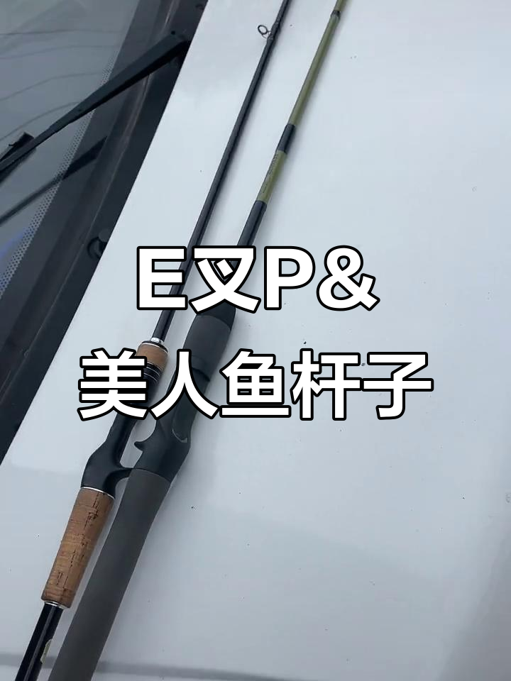 春日志签名款E叉P与美人鱼杆子，价格可谈