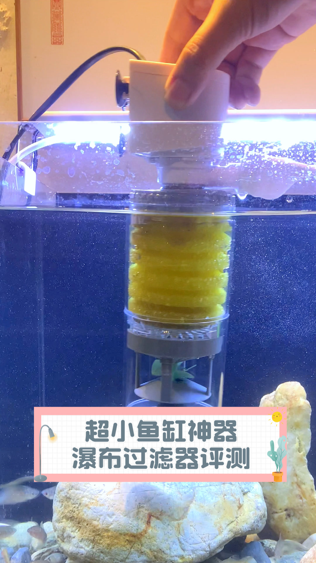 超小鱼缸神器，瀑布过滤器评测