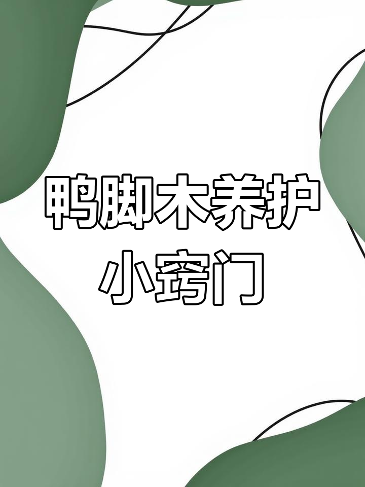 鸭脚木修剪技巧与施肥方法,打造健康盆栽