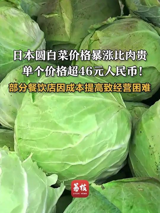 单个价格超46元人民币!部分餐饮店因成本提高致经营困难食品安全蔬菜