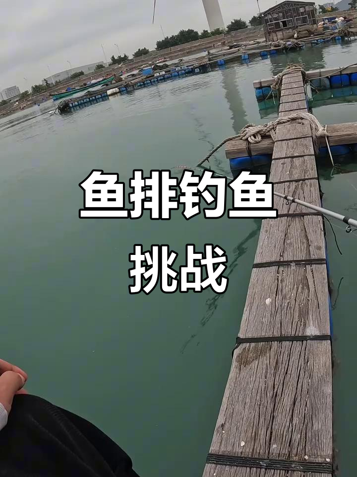 鱼排钓鱼大作战,钓小黄刺的技巧与耐心考验