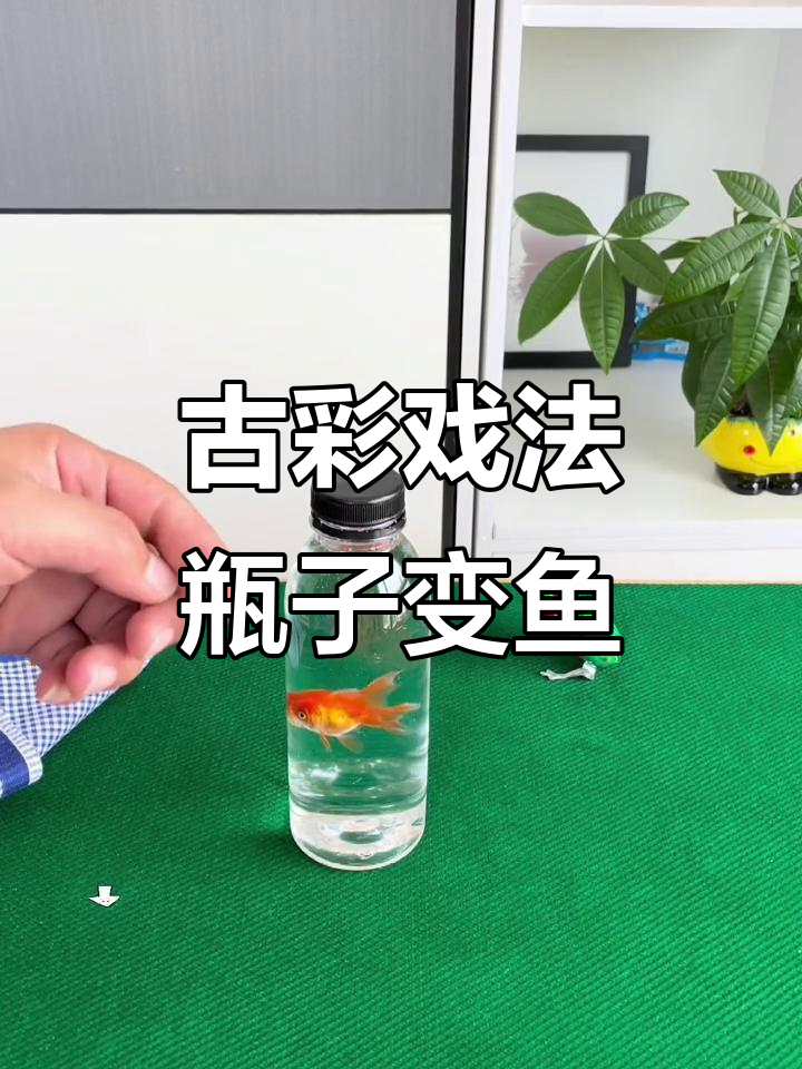 空瓶变金鱼,魔术原理大揭秘!