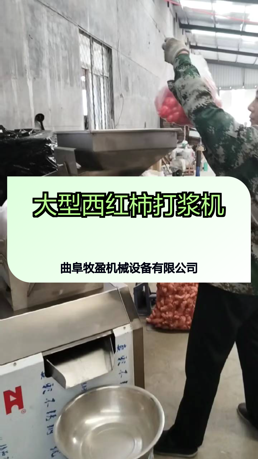 大型西红柿打浆机多功能果蔬打浆机