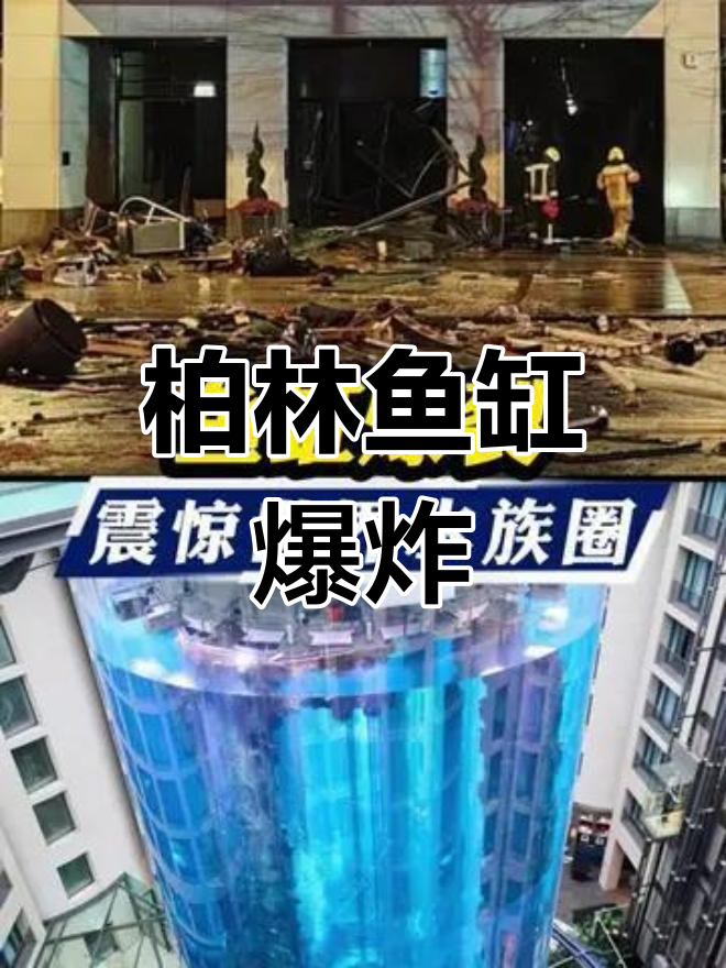 德国柏林巨型鱼缸爆裂,水与鱼儿涌向街头