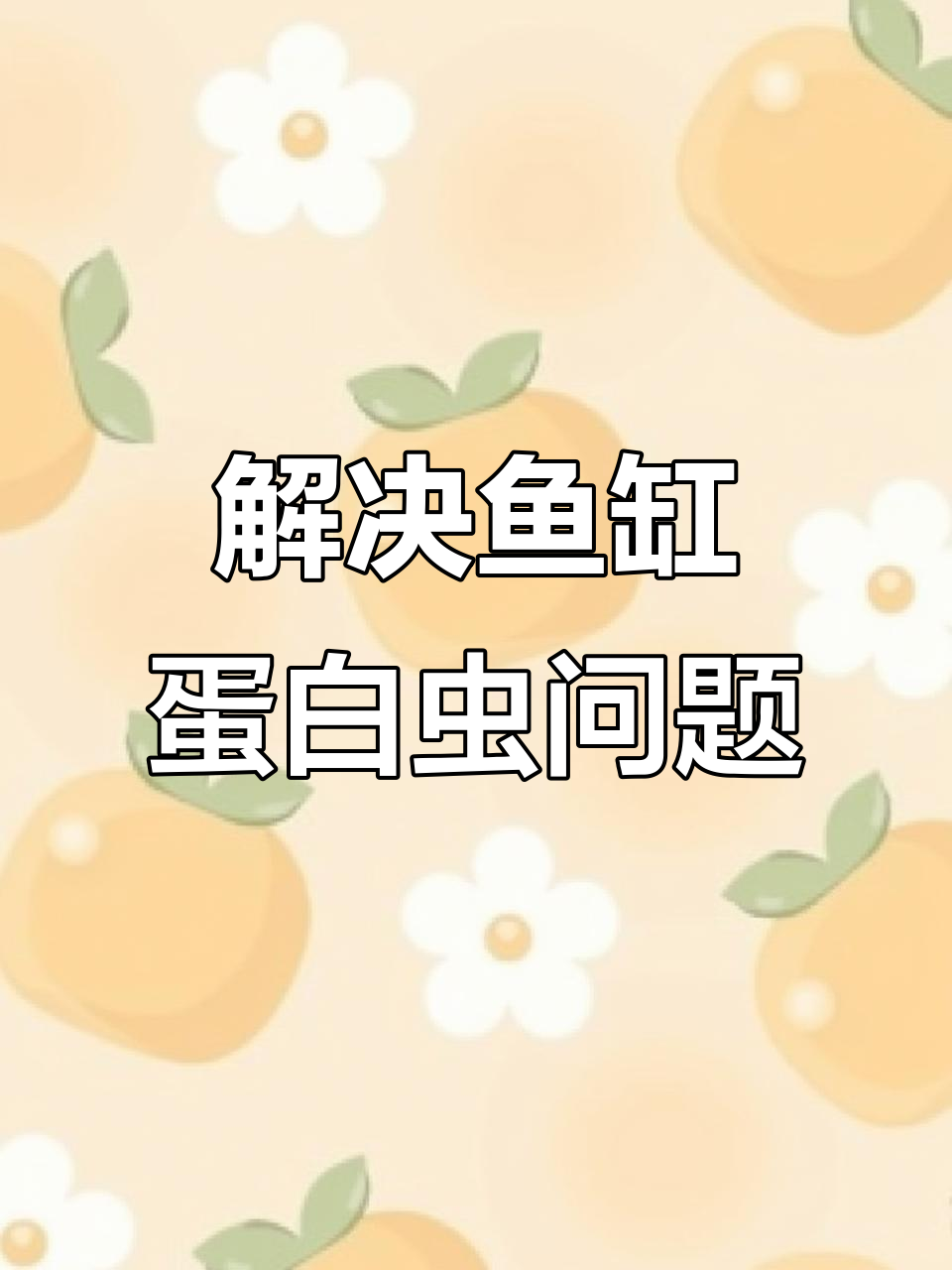 鱼缸蛋白虫爆发?教你快速清除小侵略者