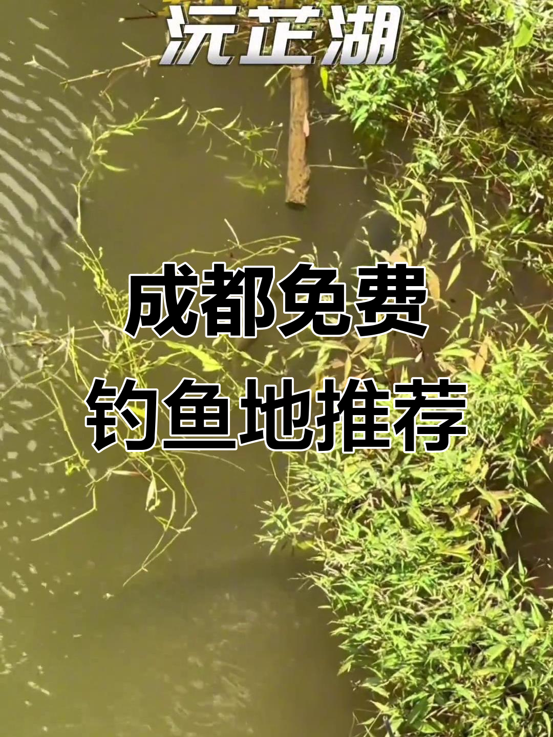 成都周边十大免费野钓地点,出行注意安全!